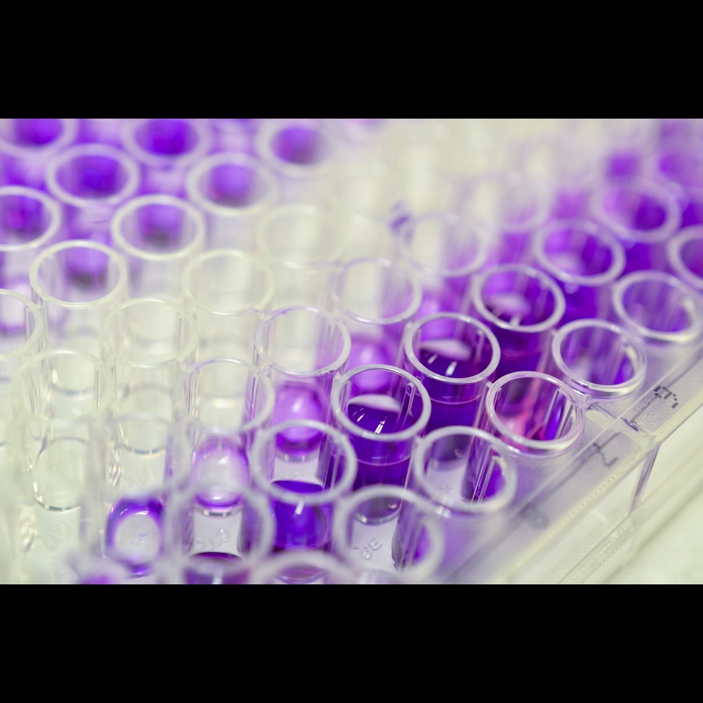 General Cortisol ''COR'' ELISA Assay   96 wells plate